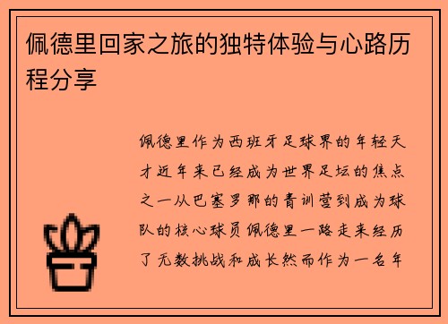 佩德里回家之旅的独特体验与心路历程分享